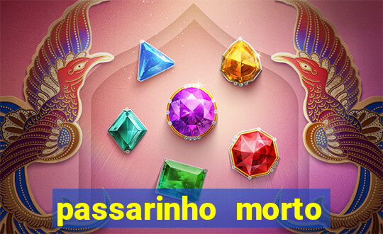 passarinho morto significado espiritual